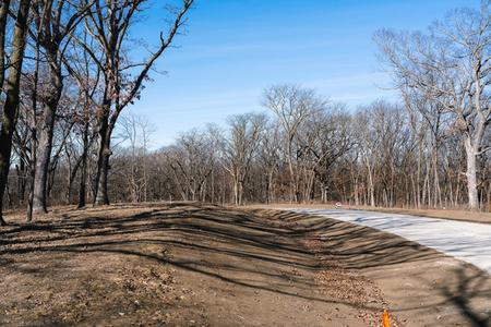 Next Photo