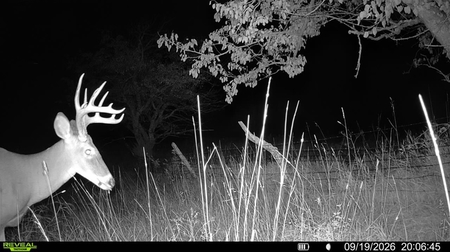 Next Photo