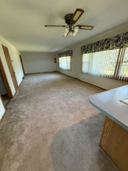 Next Photo